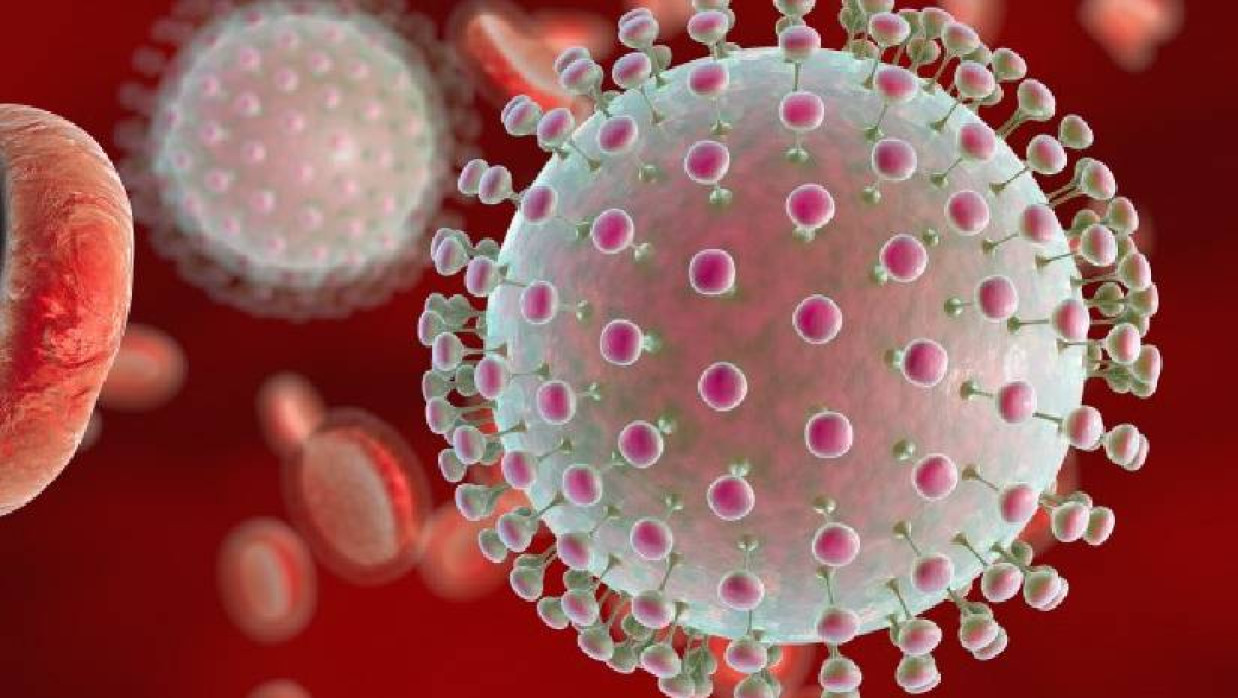 জিকা ভাইরাস