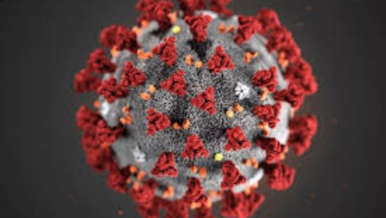 প্রতীকী ছবি 