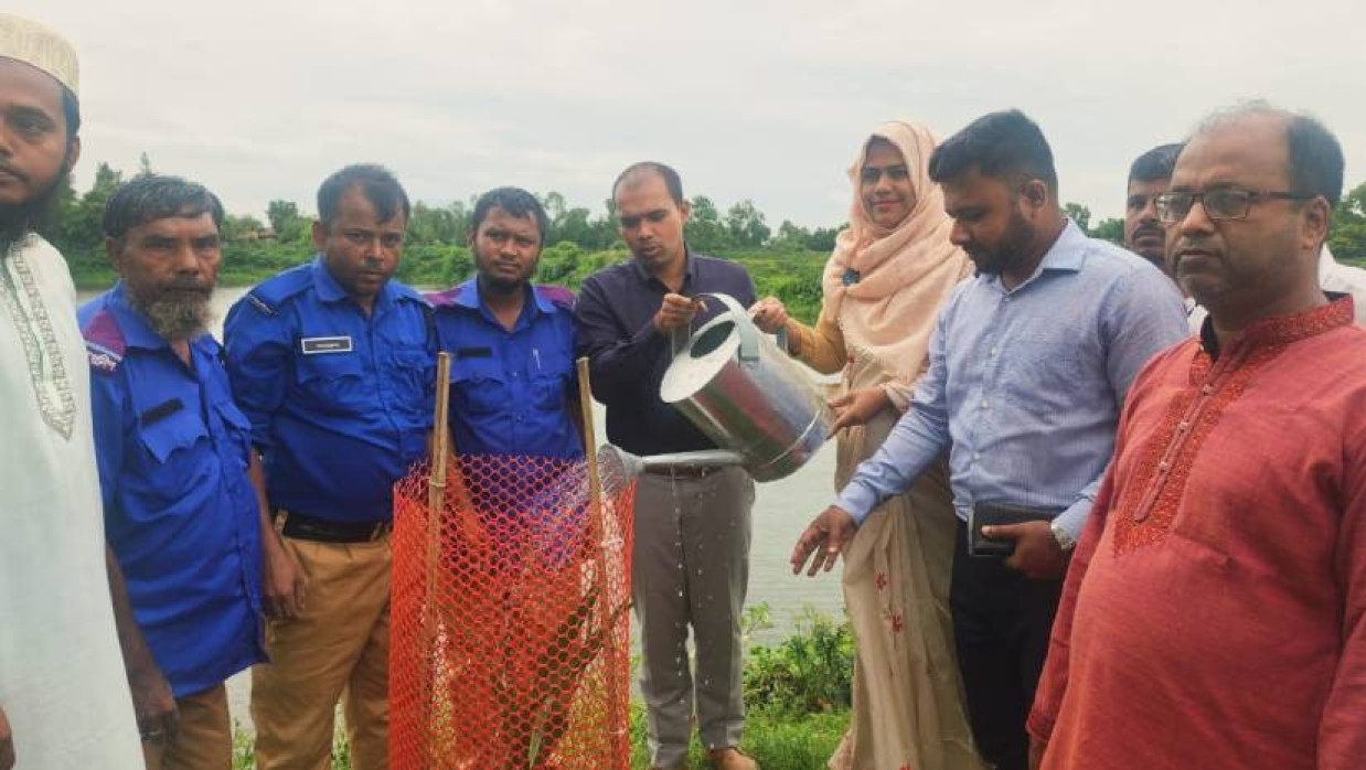 চারা রোপণ কর্মসূচির উদ্বোধন করেন নাসিরনগর উপজেলা নির্বাহী অফিসার শাহীনা নাছরিন