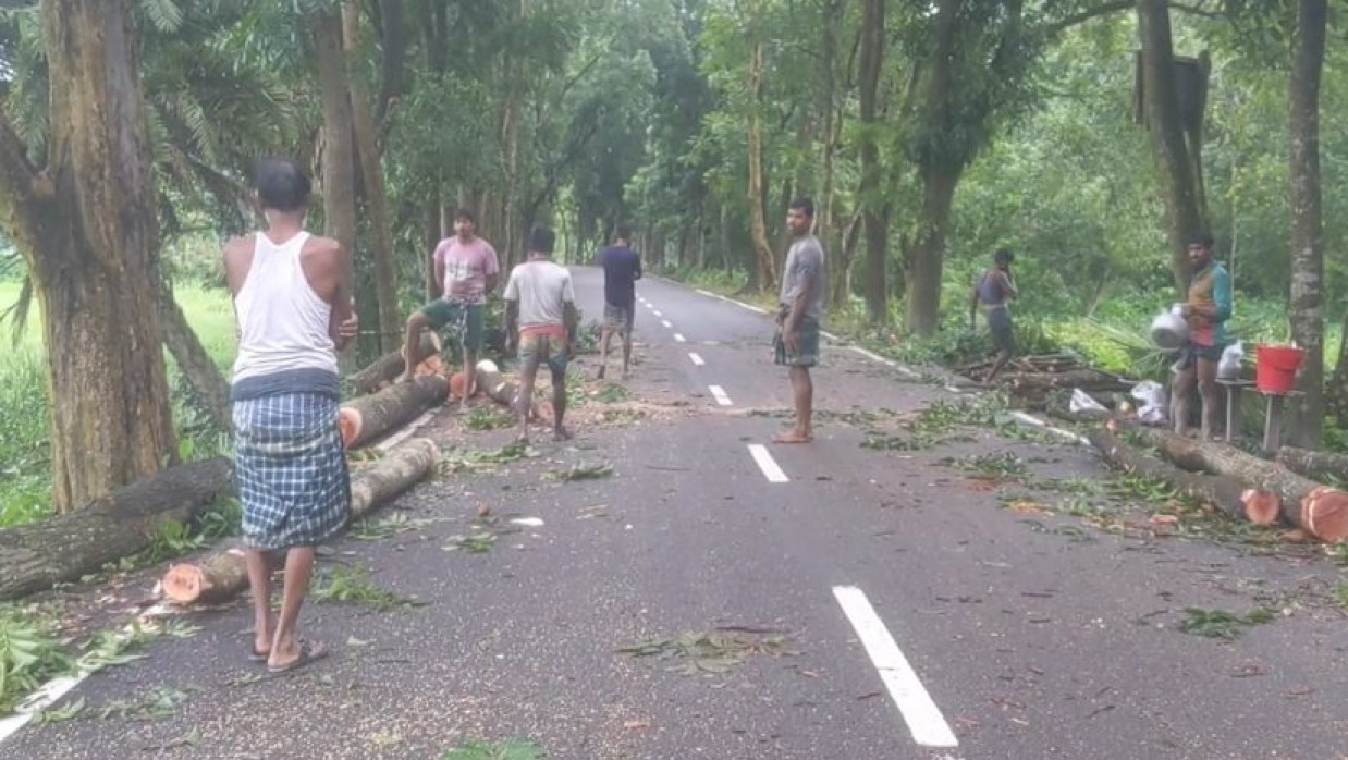 সরকারি গাছ কর্তন