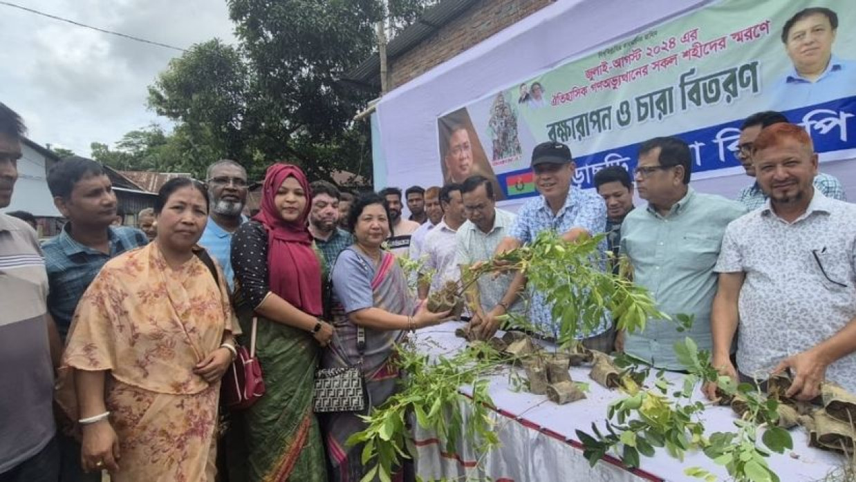 গাছের চারা বিতরণ কর্মসূচি