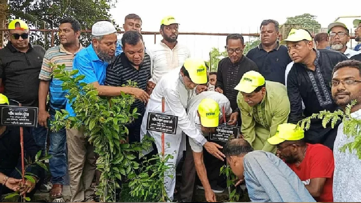 আবদুল কাদির মোল্লা সিটি কলেজে বৃক্ষরোপন কর্মসূচি