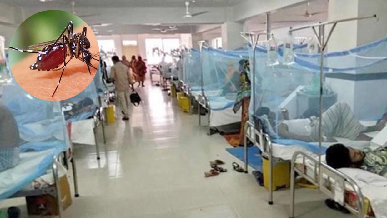 হাসপাতালে ভর্তি ডেঙ্গু আক্রান্ত রোগীরা