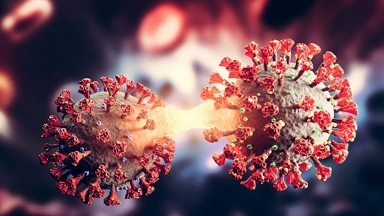 প্রতীকী ছবি