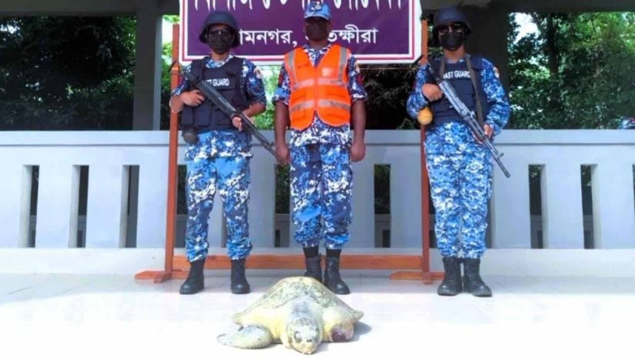 আহত উদ্ধারকৃত কচ্ছপ 