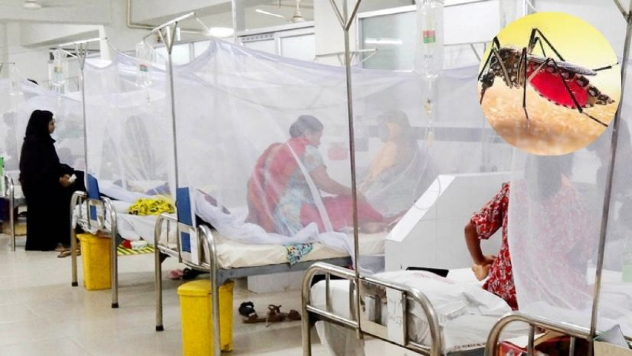 হাসপাতালে ভর্তি ডেঙ্গু আক্রান্তরা