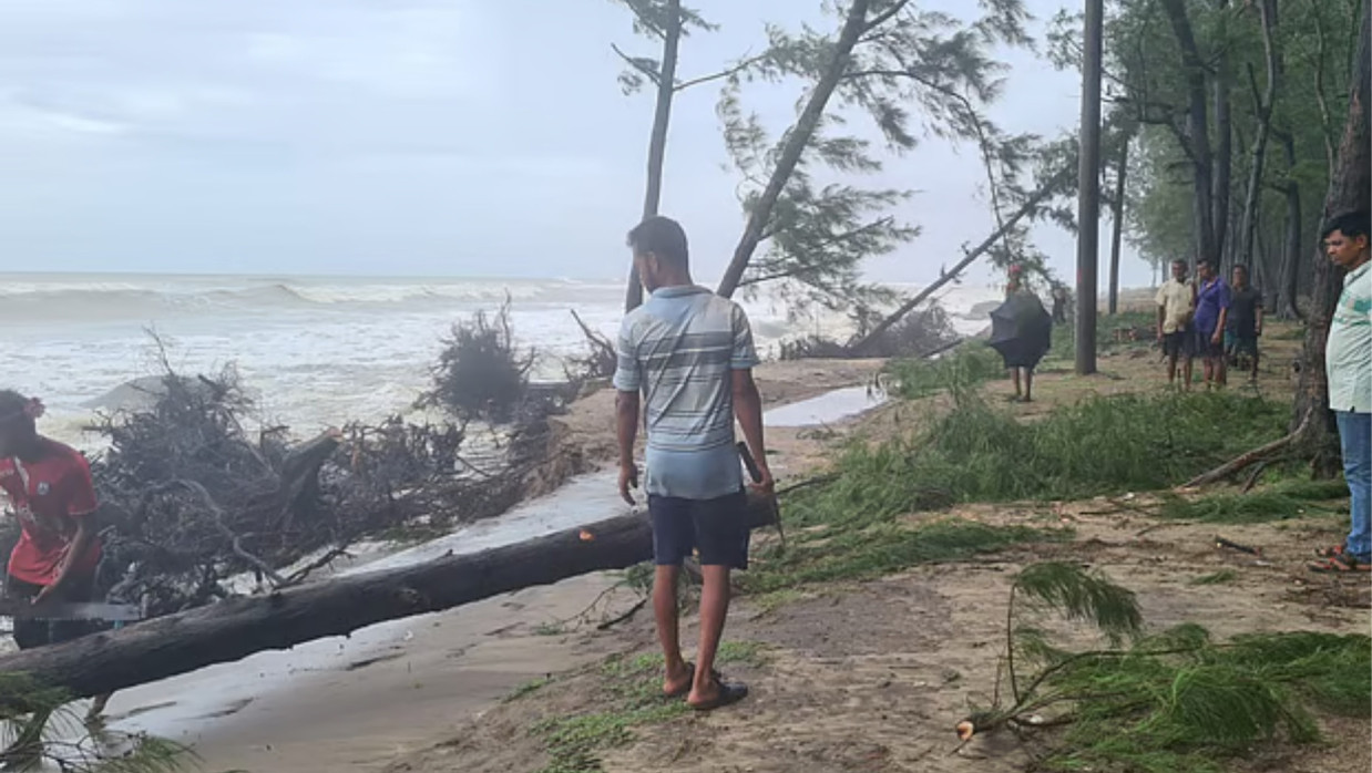 সৈকতে উপড়ে পড়া ঝাউগাছ বন বিভাগের পক্ষ থেকে সরিয়ে নেওয়া হচ্ছে