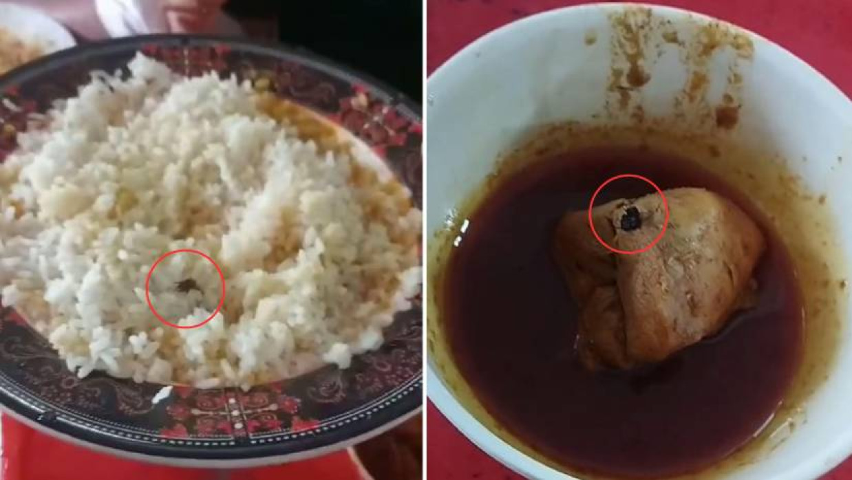 ডাইনিংয়ে খাবারে মরা মাছি