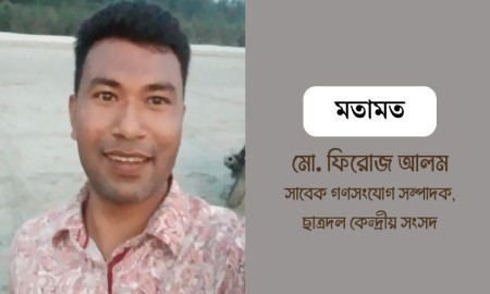 পিআর নির্বাচনী ব্যবস্থা: বাংলাদেশের জন্য আশীর্বাদ নাকি অভিশাপ?