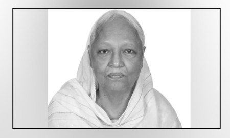 অধ্যাপিকা মাহমুদা বেগম