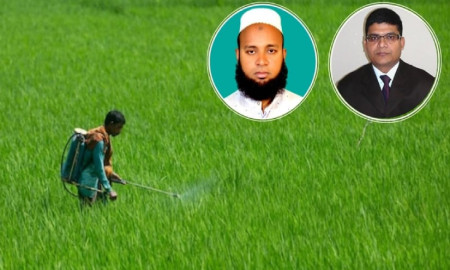 কৃষিতে বালাইনাশকের প্রভাবে হুমকিতে প্রাণিসম্পদ ও জনস্বাস্থ্য: বাকৃবি গবেষক