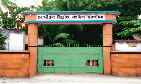 তা'মীরুল মিল্লাত মাদ্রাসা 