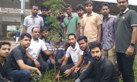 ইসলামী বিশ্ববিদ্যালয়ে ছাত্রদলের বৃক্ষরোপণ কর্মসূচি 