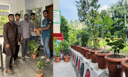 ঢাবির হলের প্রতি কক্ষে একটি করে ফুলের চারা দিলেন দুই শিক্ষার্থী