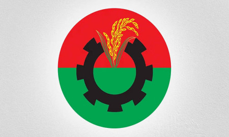 বিএনপি লোগো 