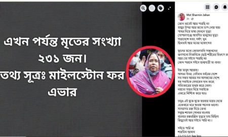 মৃতের সংখ্যা ২৩১ জন উল্লেখ করে ফেসবুকে কবিতা লিখলেন ঢাবির আওয়ামীপন্থী কর্মকর্তা
