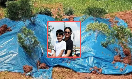 এখানেই শুয়ে আছেন দুই ভাই-বোন নাদিয়া ও নাফি