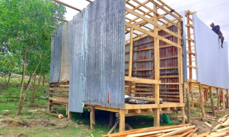 বন বিভাগের গাছ কেটে দোকানঘর নির্মাণ, নীরব প্রশাসন