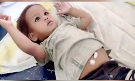 শিশুর কামড়ে মারা গেলো বিষাক্ত কোবরা!