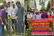 জুলাই শহিদদের স্মরণে ডিআইইউয়ে বৈষম্যবিরোধী আন্দোলনের বৃক্ষরোপণ