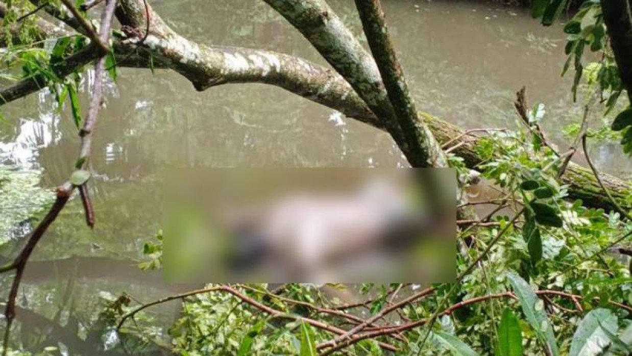 পুকুরে ভাসছে মরদেহ
