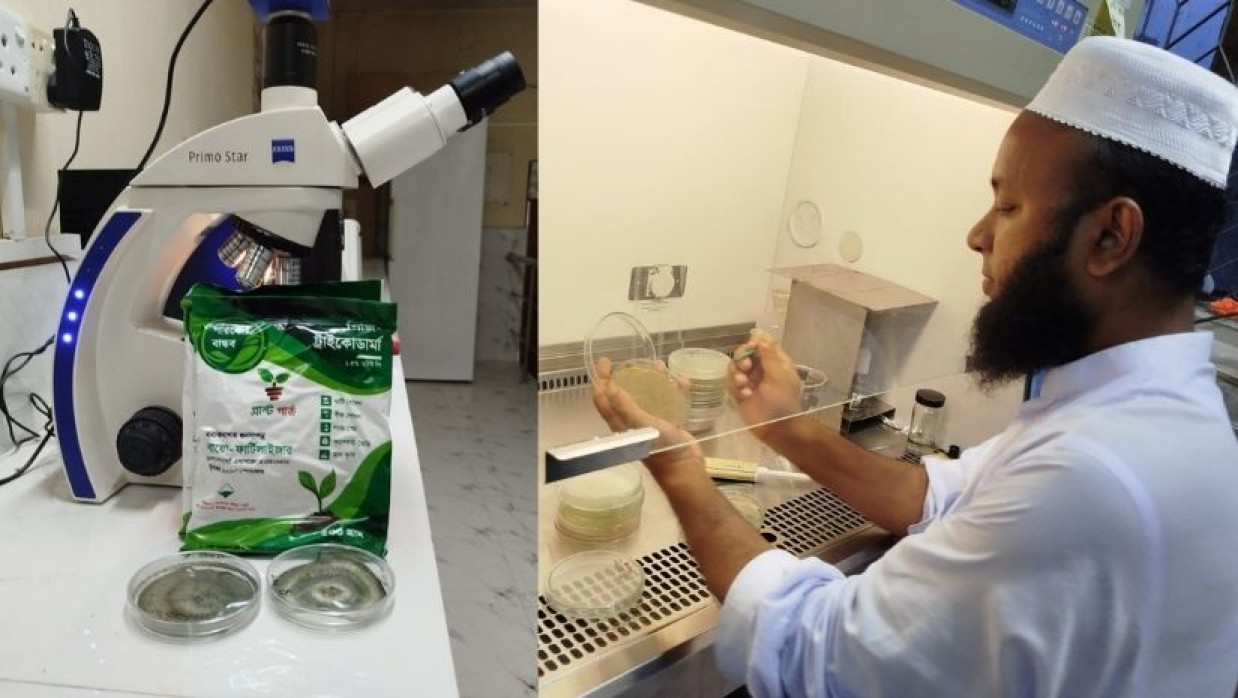বাকৃবির গবেষণায় পরিবেশবান্ধব ছত্রাকনাশক উদ্ভাবন