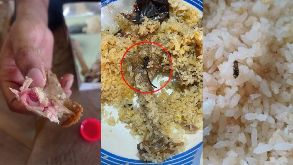 পরিবেশিত খাবারে কাঁচা মাংস এবং পোকা