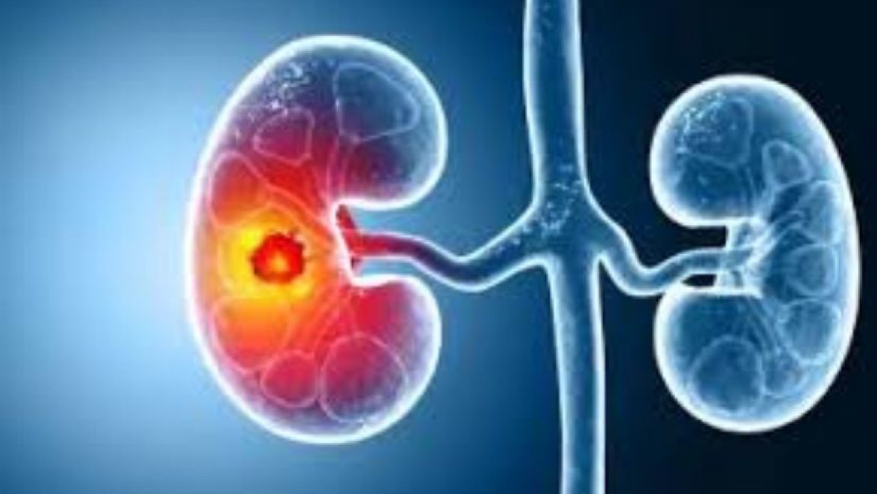 প্রতীকী ছবি 