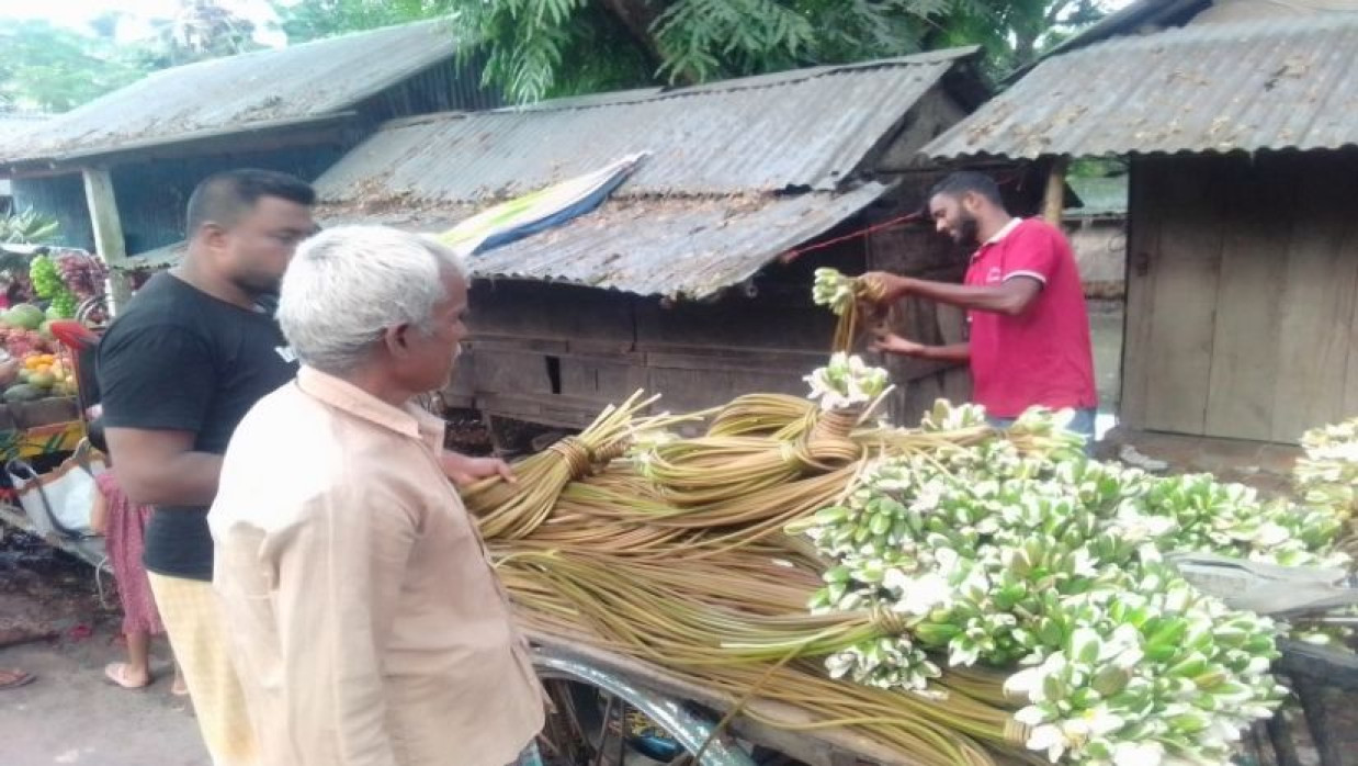  শাপলা বেচা-বিক্রিতে ব্যস্ত হাট-বাজার