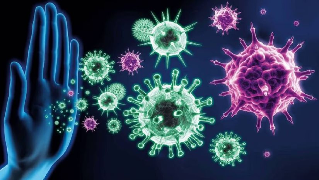 রোগ প্রতিরোধ ক্ষমতা