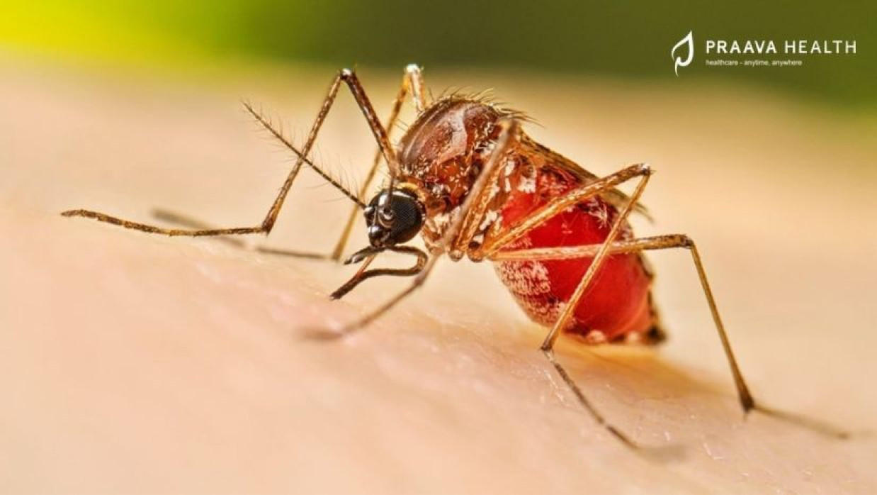 প্রতীকী ছবি