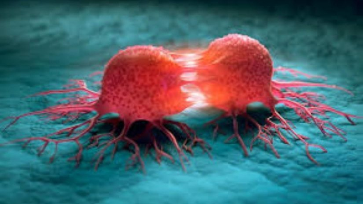 প্রতীকী ছবি