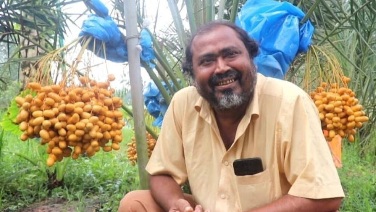 খেজুর মোতালেব