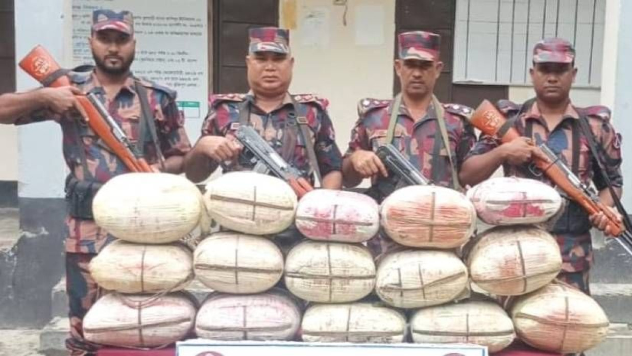 বিজিবির জব্দ করা গাঁজা