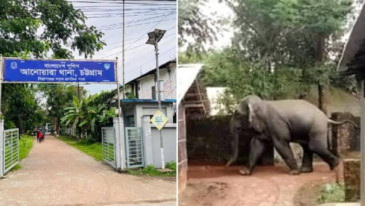 আনোয়ারা থানা