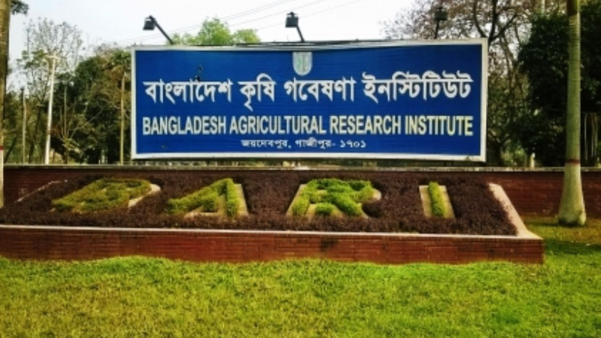 ৮ পদে স্থায়ী ও অস্থায়ী ভিত্তিতে ৯৭ কর্মকর্তা নিয়োগে আবেদন চলছে বাংলাদেশ কৃষি গবেষণা ইনস্টিটিউটে