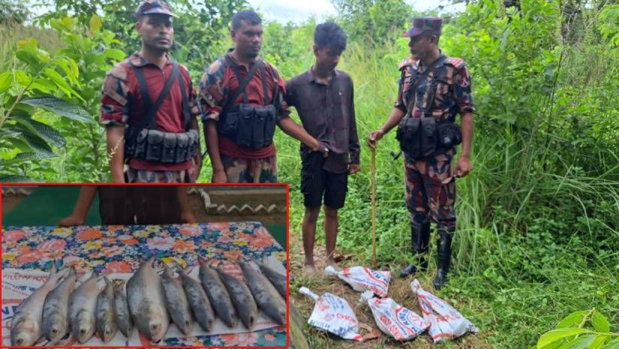 ইলিশসহ আটক চোরাকারবারি