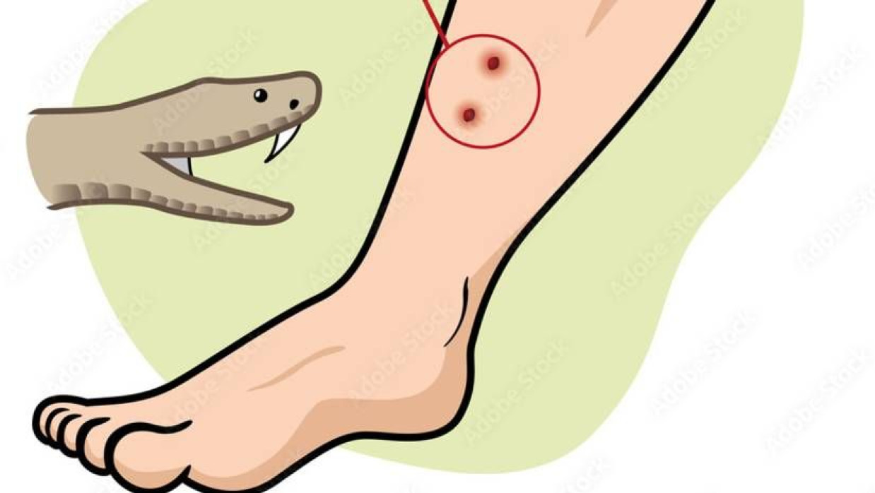 প্রতীকী ছবি