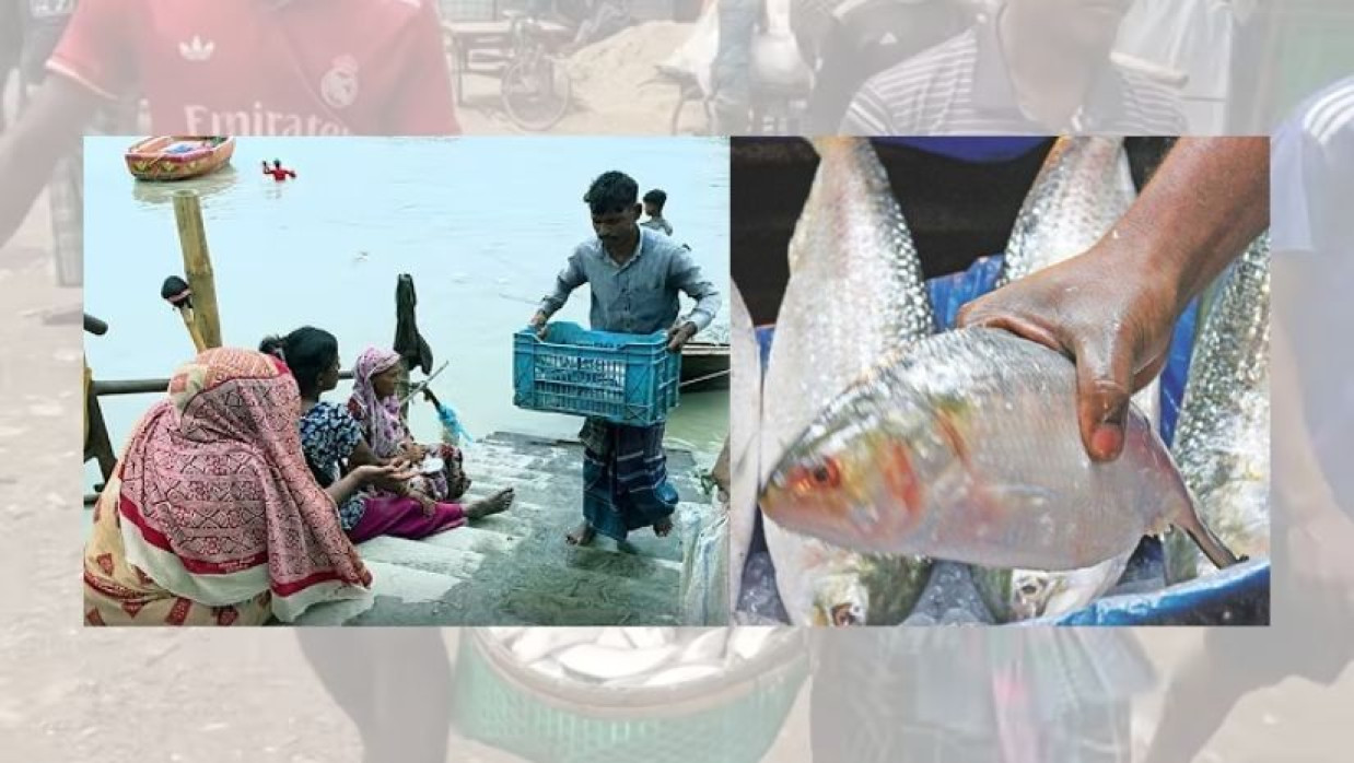 ইলিশ মাছ  ভিক্ষা 