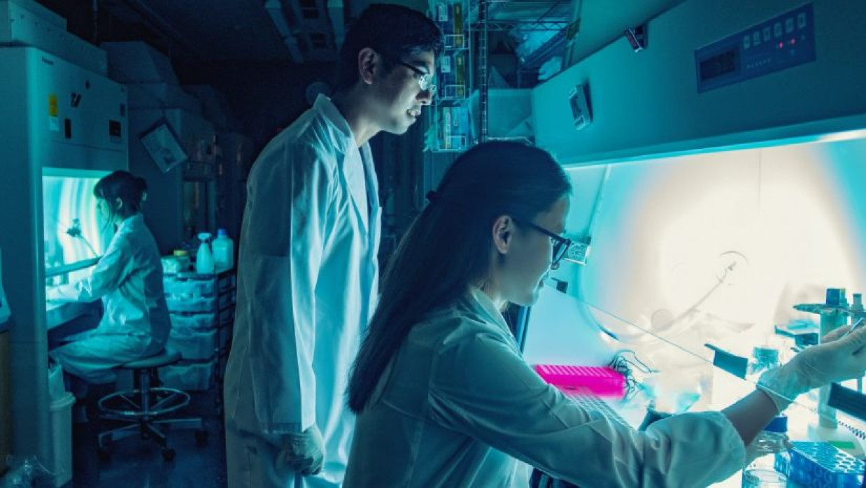 জাপানে স্নাতক-স্নাতকোত্তরে ছয় মাস মেয়াদি ইন্টার্নশিপ করতে চাইলে আবেদন করুন দ্রুতই