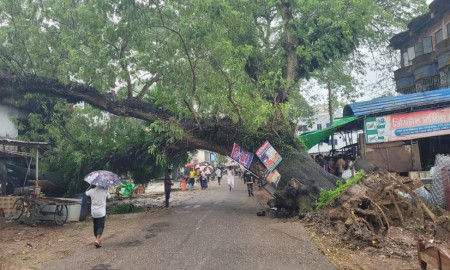 শতবর্ষী কড়াই গাছ উপড়ে রেস্টুরেন্টে আগুন, আহত ১