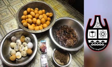 হলে পচা ডিম-খিচুড়ি, ১৩ দফা দাবিতে চট্টগ্রাম বিশ্ববিদ্যালয় শিক্ষার্থীদের বিক্ষোভ