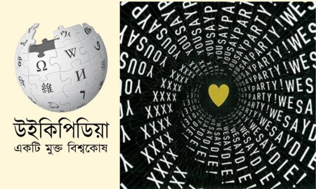 বাংলা উইকিপিডিয়ায় পরপর চার মাস শীর্ষে থাকা ‘এক্স এক্স এক্স এক্স অ্যালবাম’ আসলে কী?