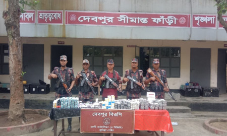 সীমান্তে বিজিবির অভিযানে ১৪ লাখ টাকার ভারতীয় ঔষধ জব্দ