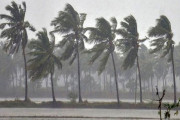 প্রতীকি ছবি
