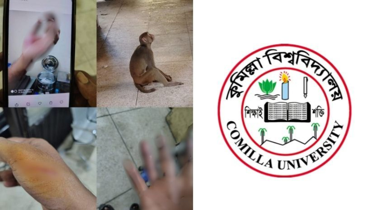 কুবিতে বানরের আঁচড়ে আহত কয়েকজন