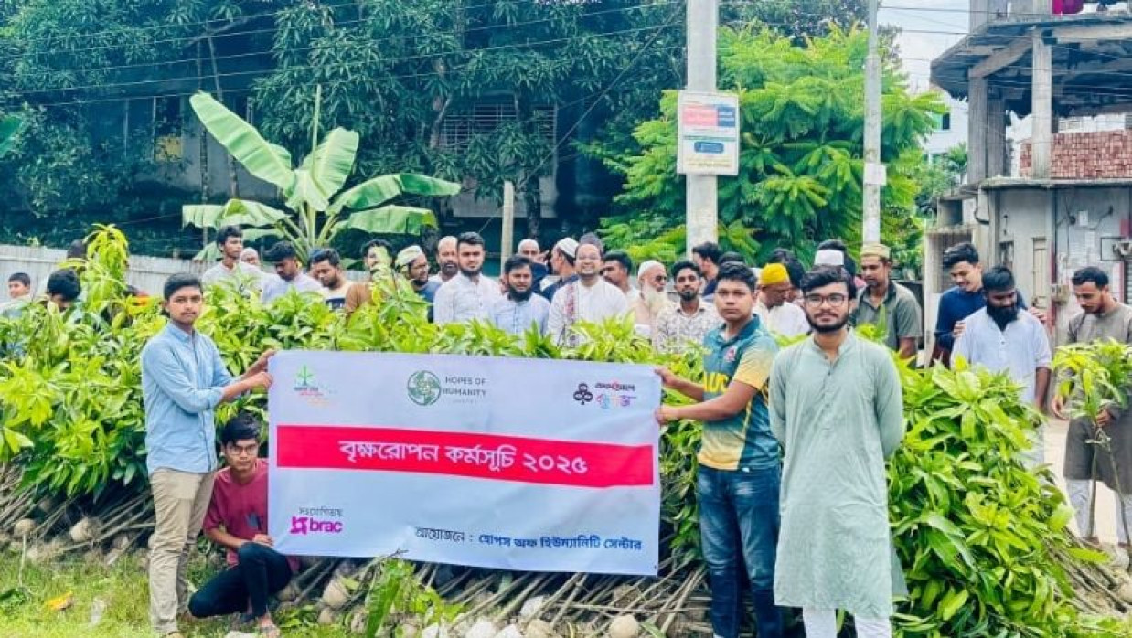 আম গাছের চারা বিতরণ