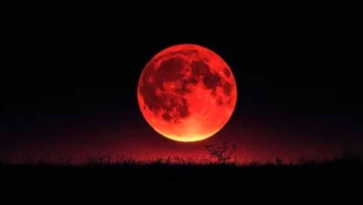 প্রতীকি ছবি