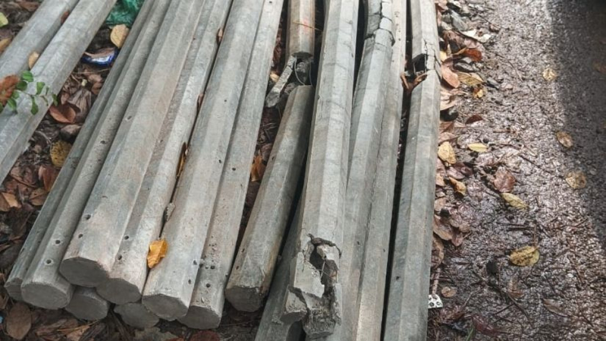  সম্পত্তি দখলে বড় ভাইয়ের বিরুদ্ধে অভিযোগ