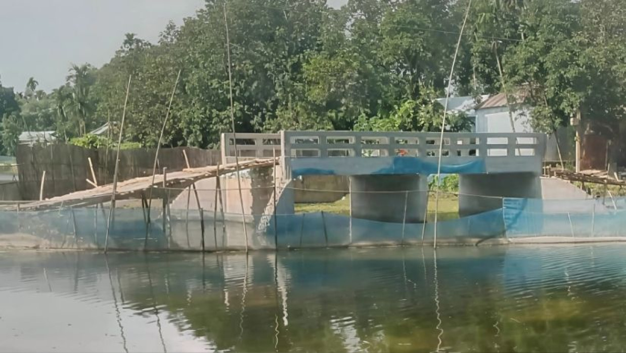 সংযোগ সড়কবিহীন ব্রিজ